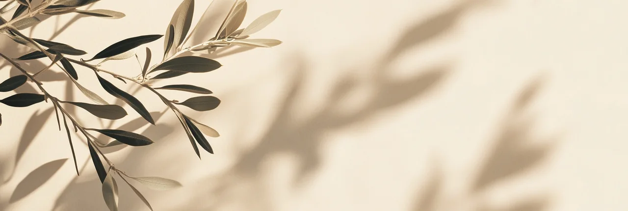 Mediterranean atmosphere with olive branches and natural textures